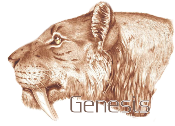 File - Iddd - Smilodon Dessin (640x472), Png Download