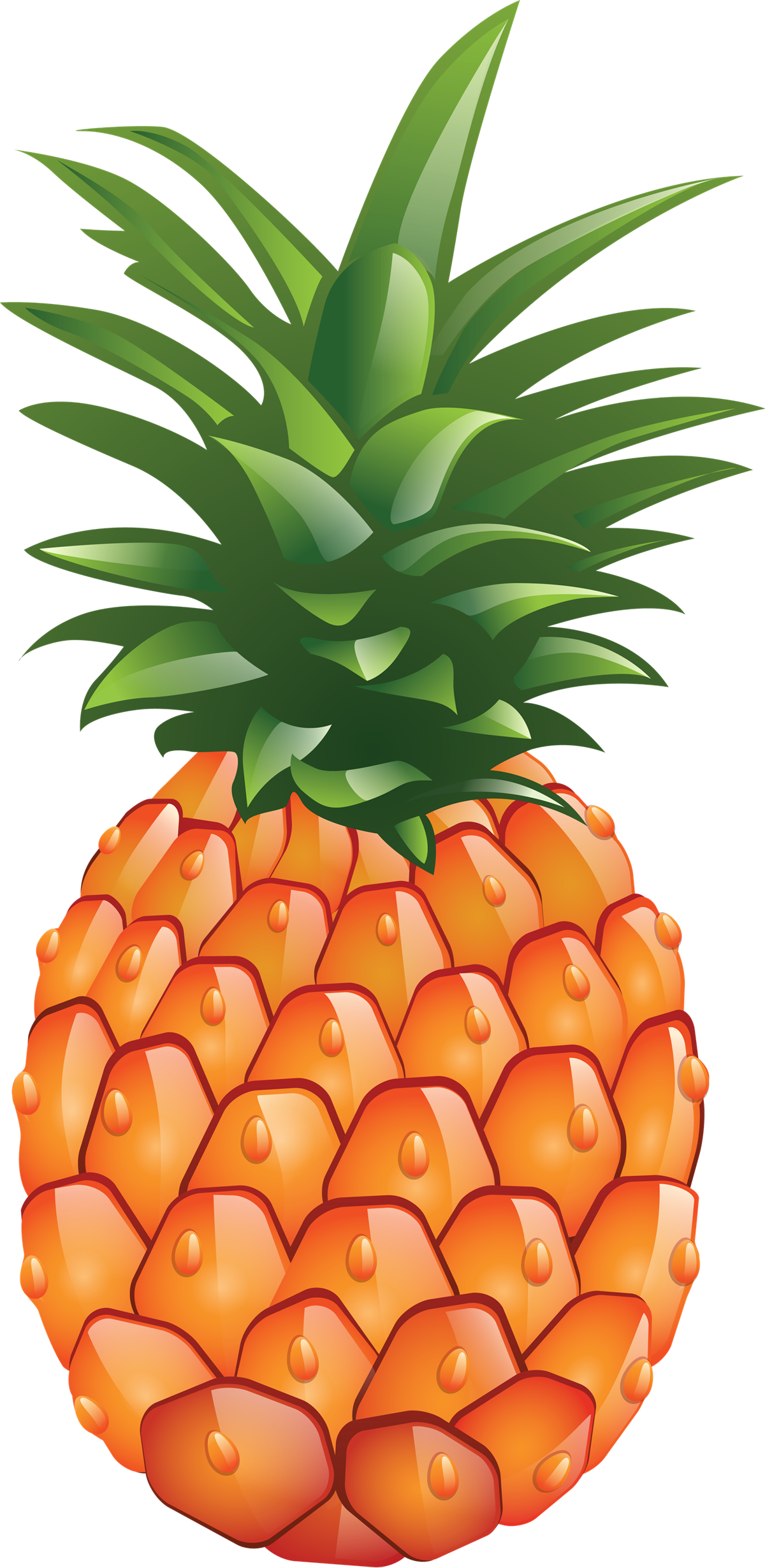 Pineapple Png Free Download - Pineapple (1200x2460), Png Download