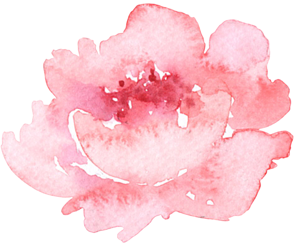 Sweet Paws In Wonderland - Peony (1000x800), Png Download