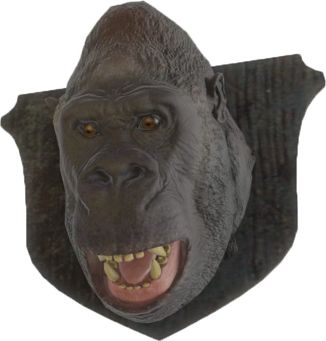 Fo4 Mounted Gorilla Head - Gorilla (634x664), Png Download
