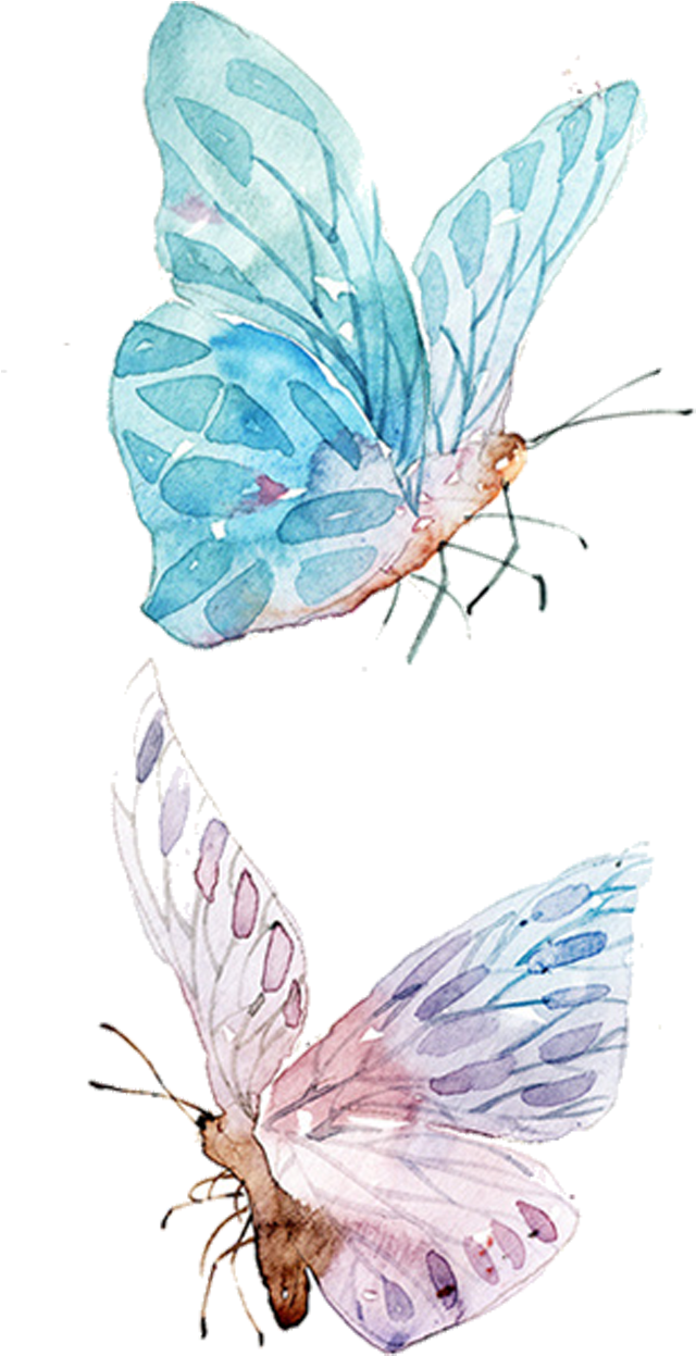 Watercolor Painting Drawing Clip Art - Watercolor Butterfly Illustration Png (837x1258), Png Download
