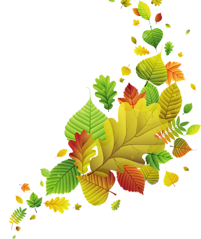 0 B2ad1 9062393 Xl - Vector Graphics (675x800), Png Download