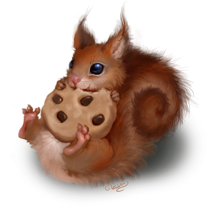 Explore Red Squirrel, Clipart Images, And More - Red Squirrel Drawing (716x720), Png Download