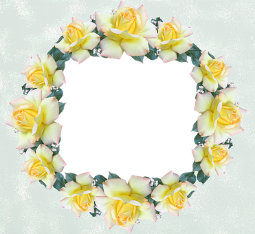Frame, Border, Rose, Flower - Photograph (371x340), Png Download