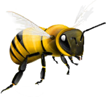 Bee Png Free - Honey Bee Png (600x368), Png Download