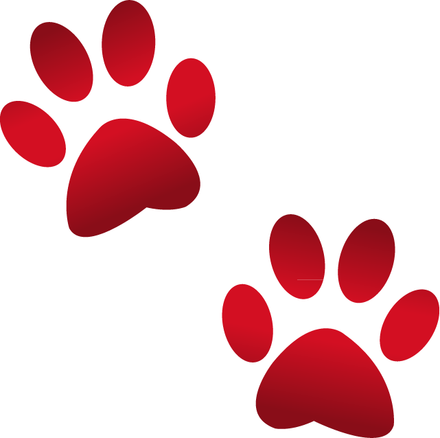 Paw Emoji - Paw Print Emoji Png (641x638), Png Download
