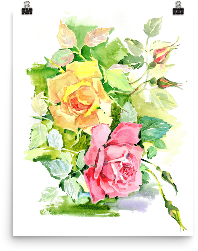 Bright And Floral Rose Watercolour Print Matte Poster - Watercolor Painting (1000x1000), Png Download