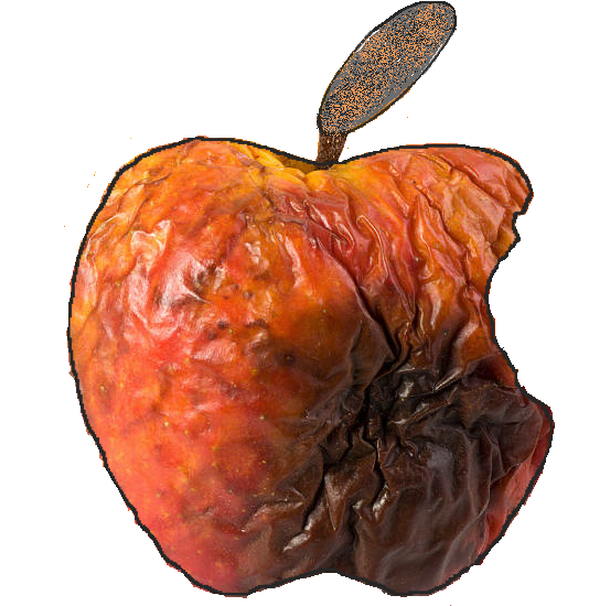 History (955x574), Png Download