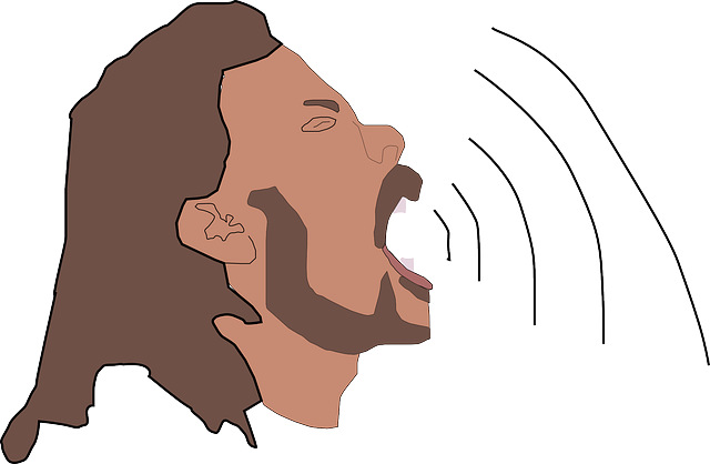 Singing, High, Audio, Sound, Wave, Sing, Strong, Waves - Man Open Mouth Png (640x418), Png Download