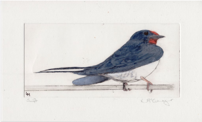 Image Freeuse Download Swallow At Trevega Watercoloured - Drawing (400x400), Png Download