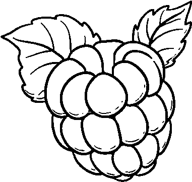 Raspberry Png Black And White Transparent Raspberry - Imagenes De Frambuesa Para Colorear (600x470), Png Download