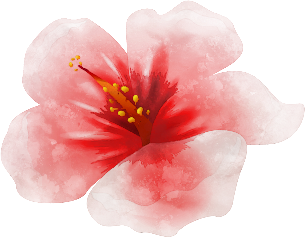 Watercolor Painting Simple Pen Painting Red Flower - Sencillo Pinturas En Acuarela (1024x798), Png Download