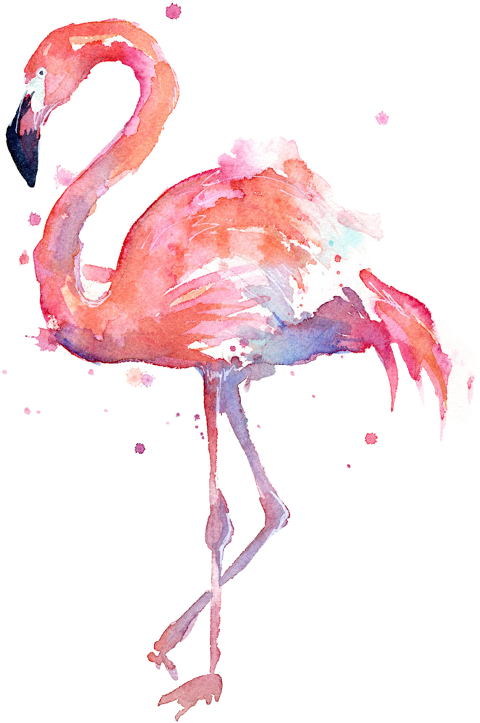 Image Library Download Flamingos Sticker Challenge - Watercolor Flamingo (480x723), Png Download