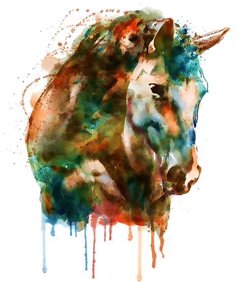 Bleed Area May Not Be Visible - Horse Head Watercolor (600x600), Png Download