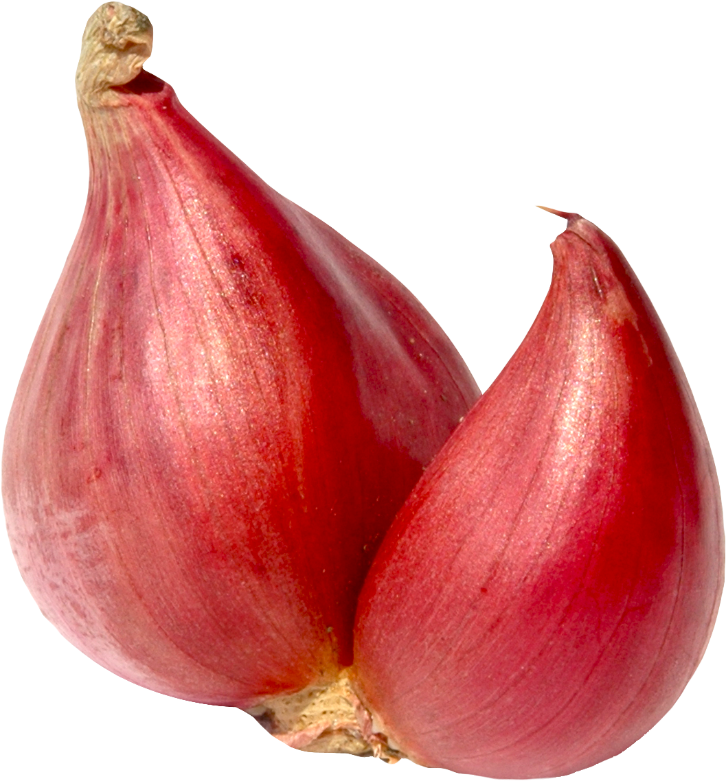 Download Shallot Onion Png Image Shallot Onion Png Full Size PNG