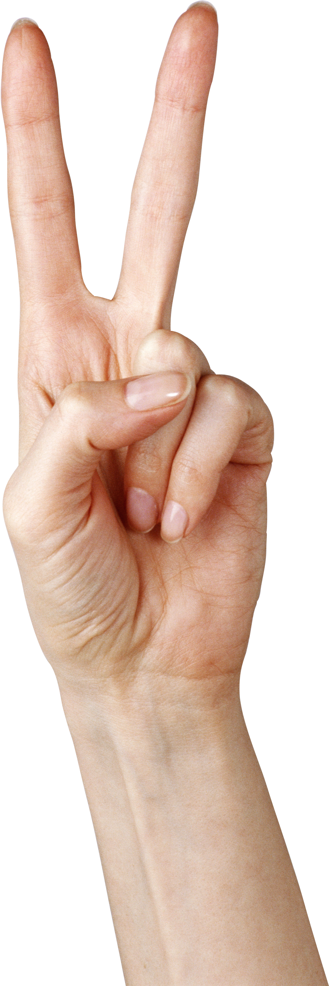 Fingers Png Clipart - Hand Two Finger Png (2121x3489), Png Download