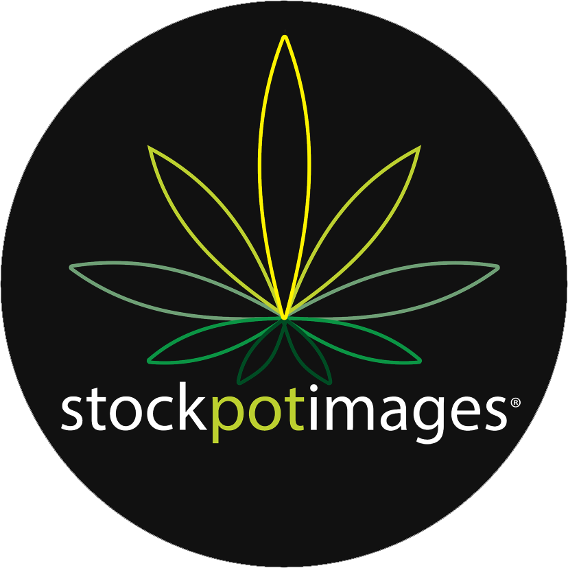 Logo Stock Pot Images Homepage - Sanderson Tessuti (828x828), Png Download