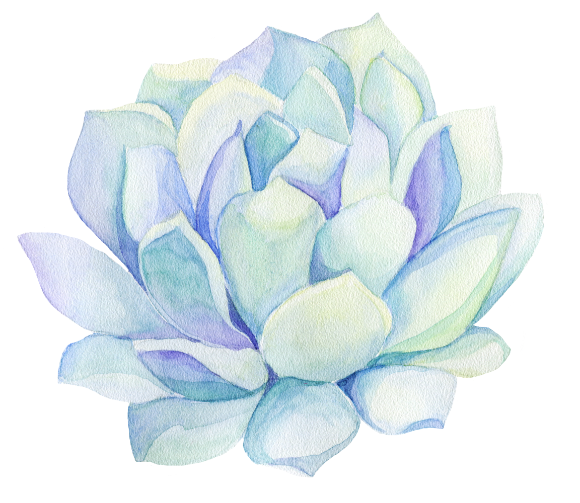 Freetoedit Ftestickers Watercolor Cactus Flower Decorat - Succulent Plant (1300x1024), Png Download
