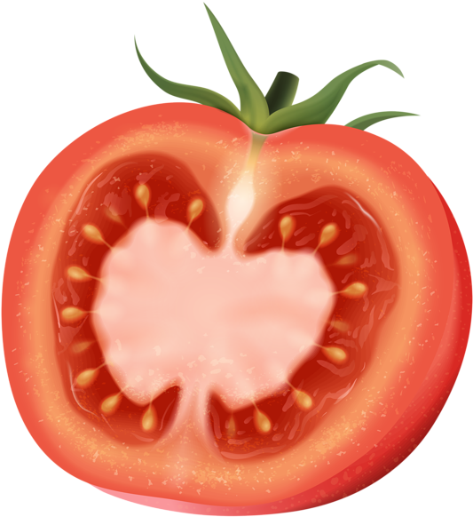 Jpg Stock Plum Art Clip Transprent Png Free - Half Of A Tomato (538x600), Png Download