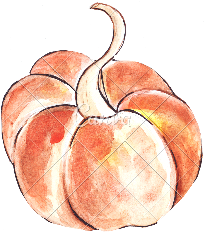 Watercolor Pumpkins Png - Drawing (705x800), Png Download