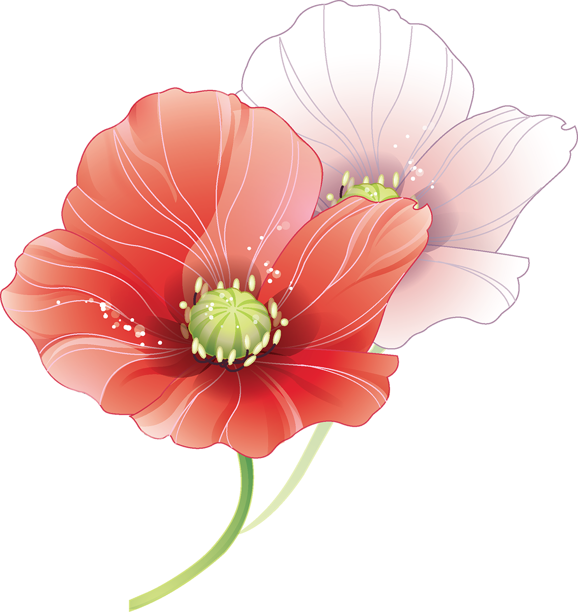 Tubes Fleurs - Wedding Vector (1135x1200), Png Download