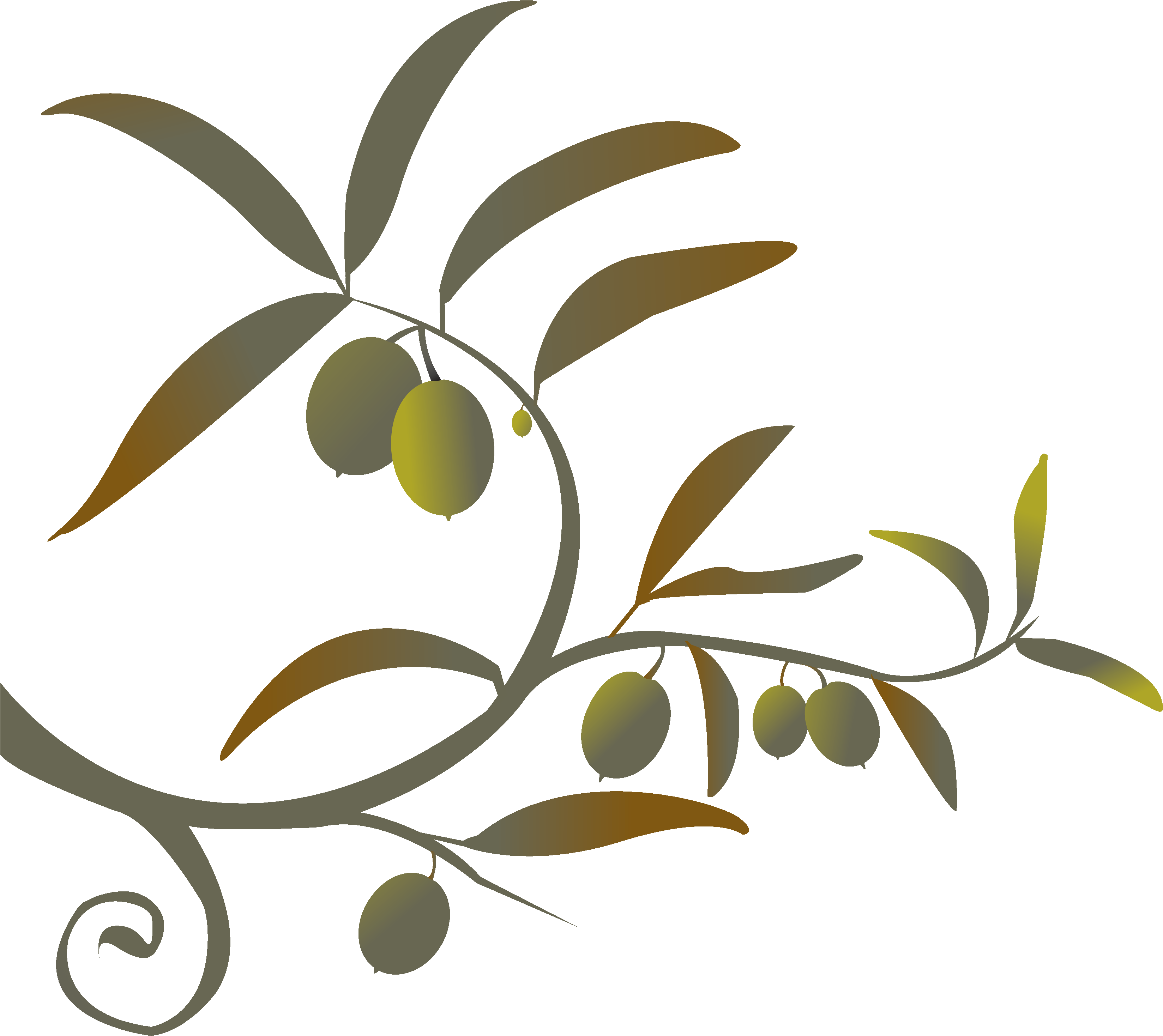 Branch Png Siren Song Of The Counter - Olive Branch Free Clip Art (3306x3030), Png Download