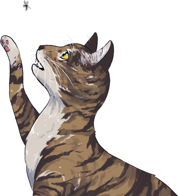 Revolution Is A Safe, Effective 5 In 1 Preventative - Cat (600x660), Png Download
