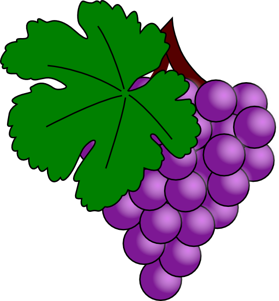 Clip Art Grape (558x601), Png Download