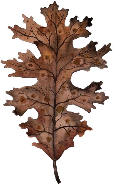 Explore Watercolor Print, Watercolour Painting, And - Watercolor Painting (570x713), Png Download