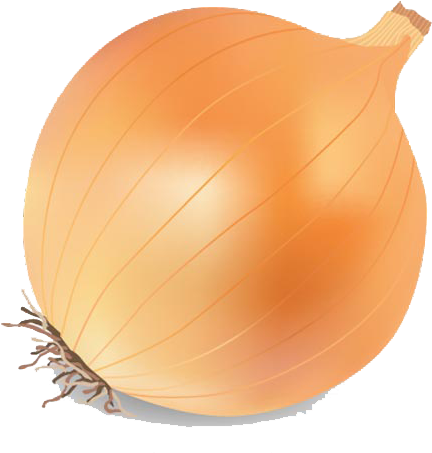 Onion Vector Png Transparent Image - Onion Clipart Png (455x455), Png Download