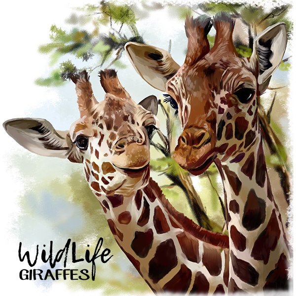 Giraffes By Kajenna - Cartoon Giraffe African (600x600), Png Download