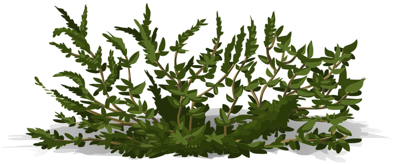 Bushes Png Image Background - Bushes Vector Transparent (1280x640), Png Download