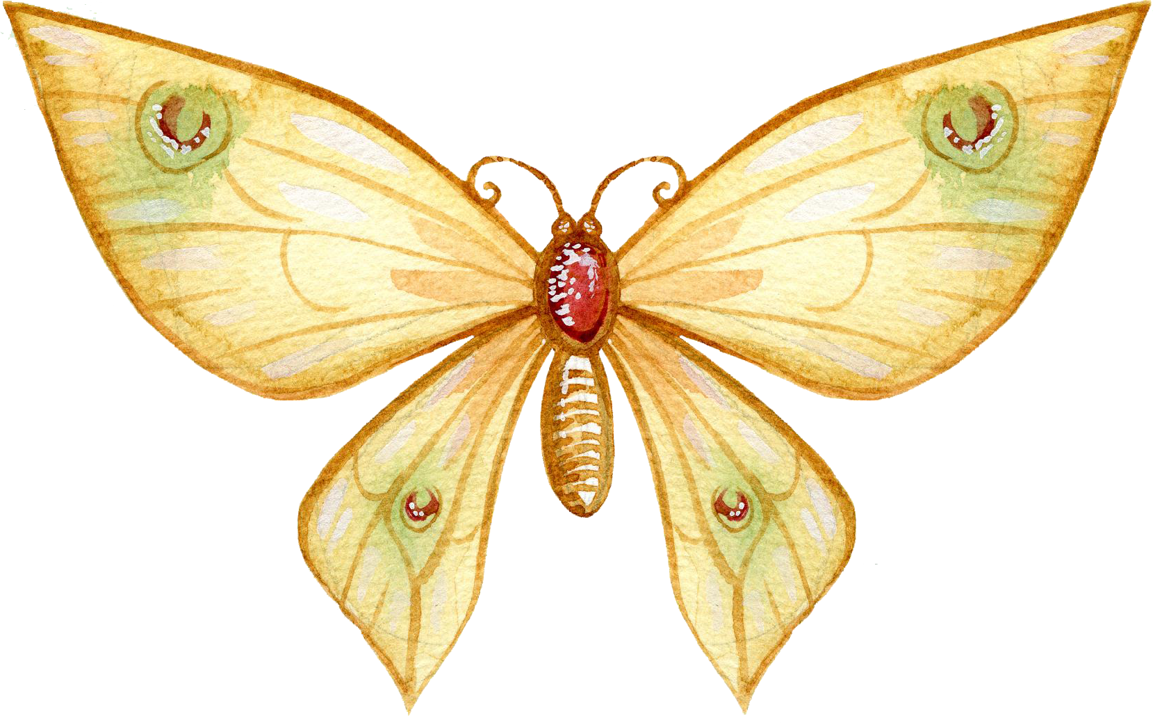 Butterfly Watercolor Painting Art Drawing - Butterfly Watercolor Drawings Samsung Galaxy S7 Leather (1659x1040), Png Download