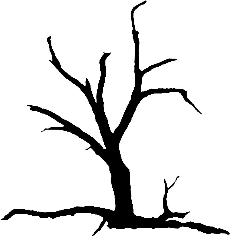 Dead Tree Emblem Bo - Fifty Years Of My Thoughts And Prayers (924x942), Png Download