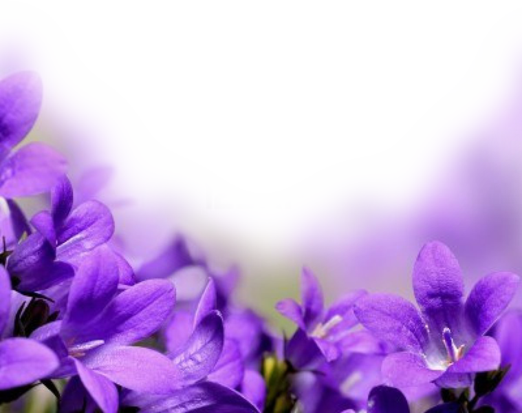 Share This Image - Flowers With Love Words (759x600), Png Download