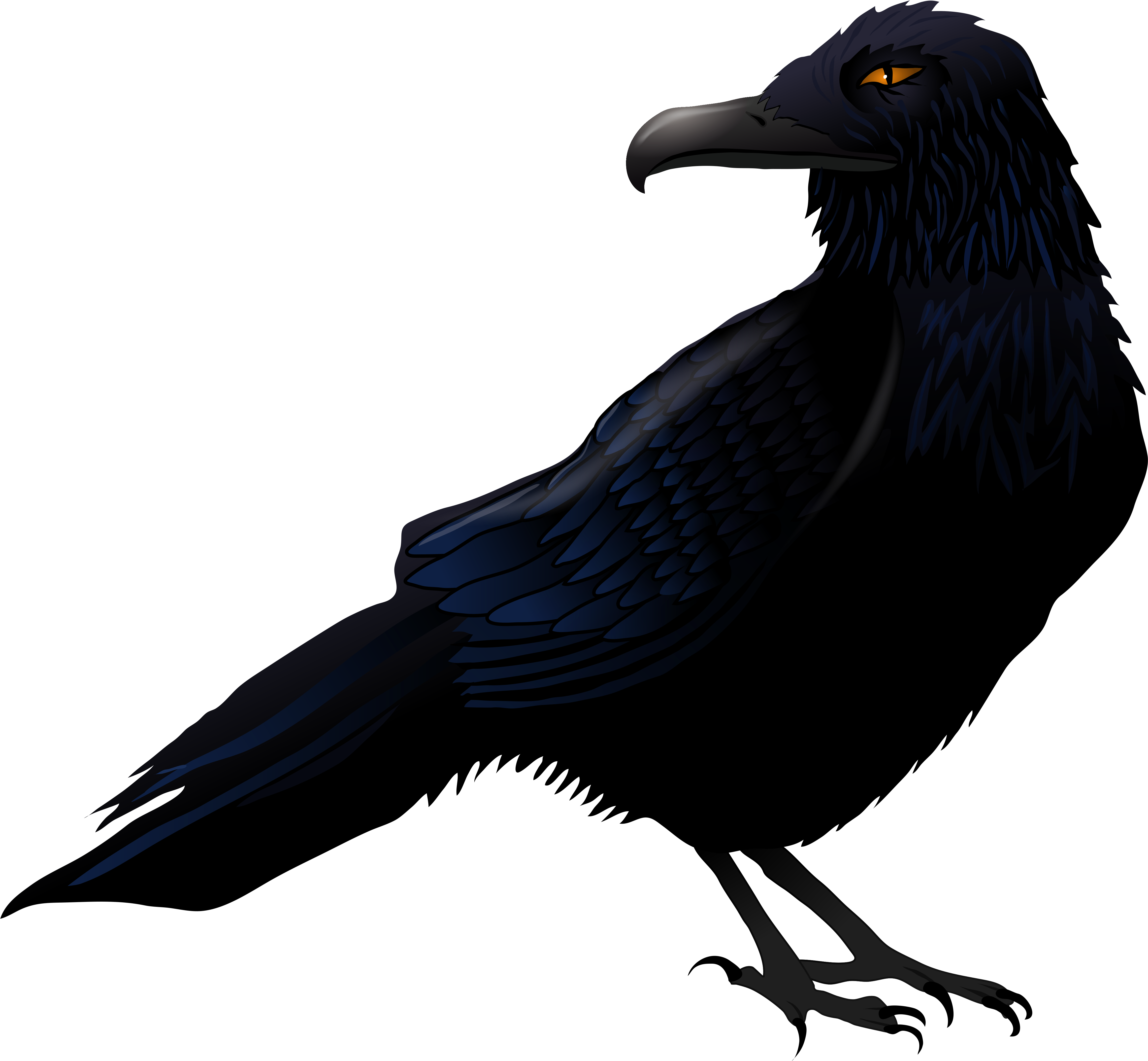 Raven Clipart Png (5061x4586), Png Download