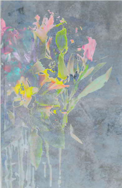 Cotton Candy Flowers - Flower (600x600), Png Download