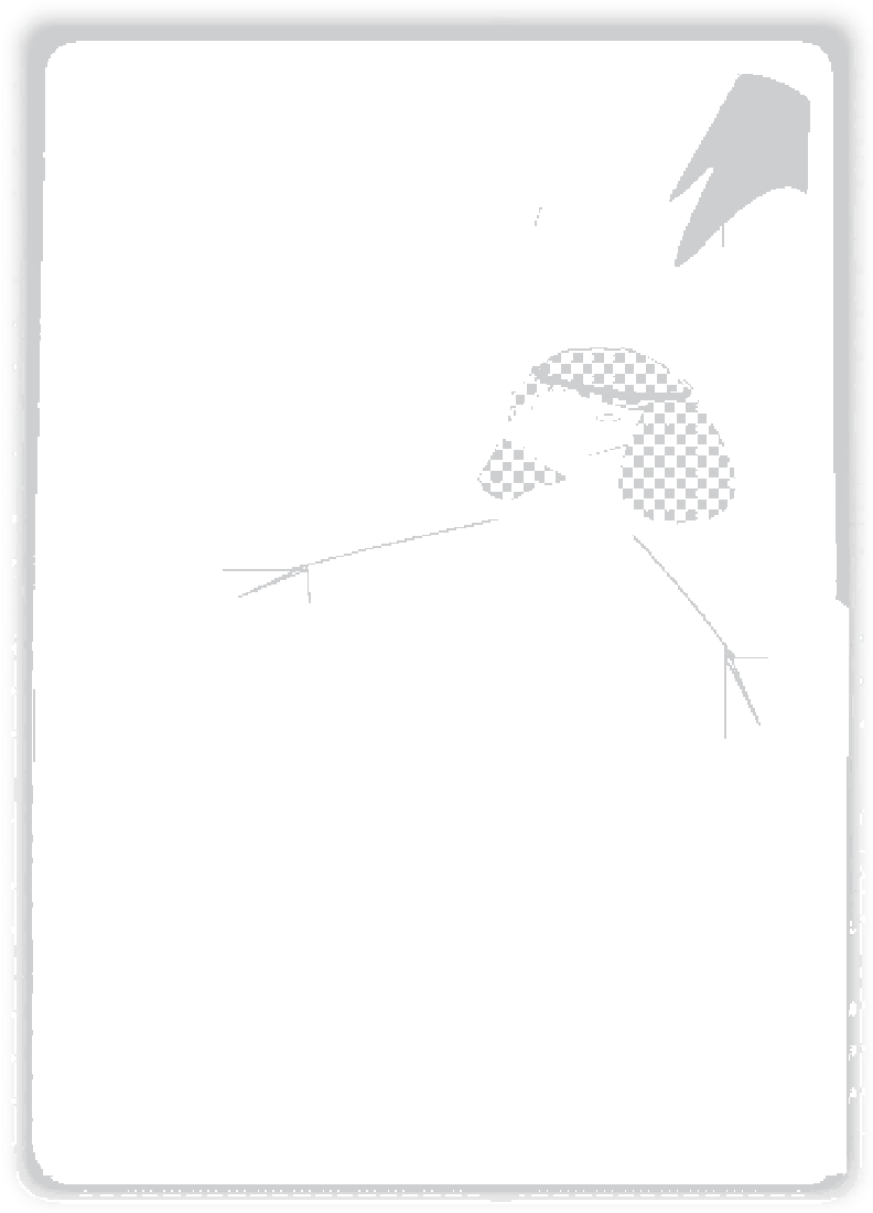 Mb Image/png - White Stork (800x1110), Png Download