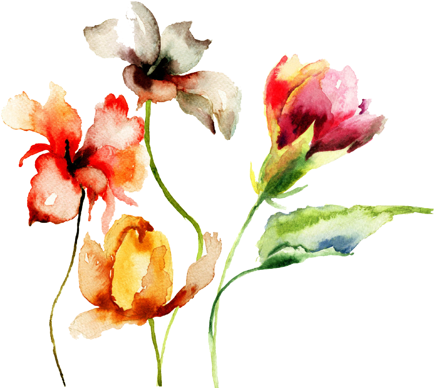Paper Watercolor Painting Drawing Flower - Floral Sky: 120-page Compact Journal With Watercolor (1024x959), Png Download