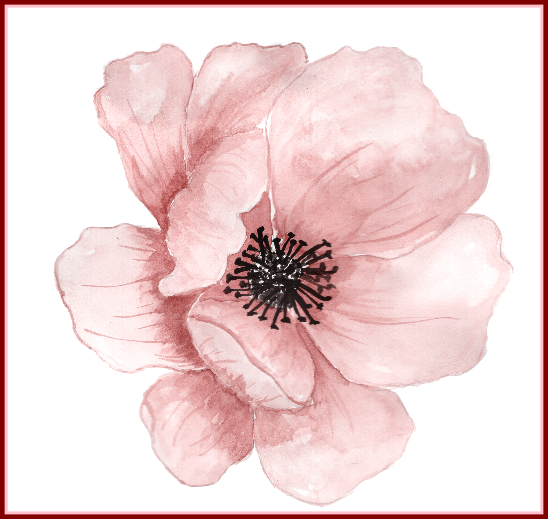 Download Awesome Flower Watercolor Painting Clip Art Pink Hand Transparent Watercolor Flower Png Full Size Png Image Pngkit