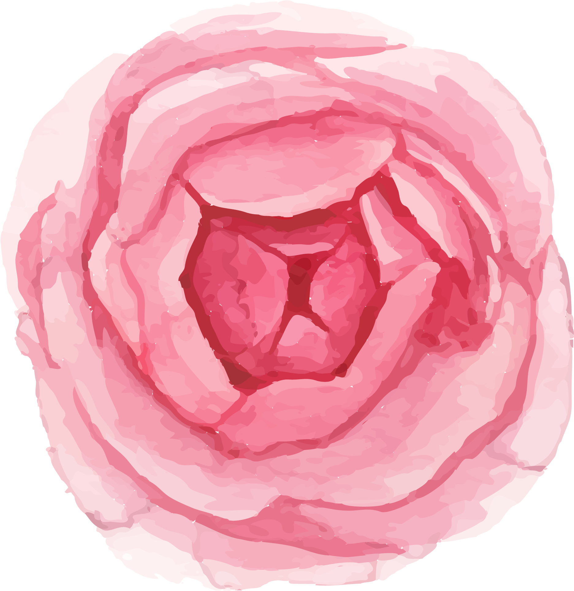 Wedding Pricing & Faq's - Schöne Wasserfarbe-blumengeschäfts-karten Visitenkarte (2019x2139), Png Download