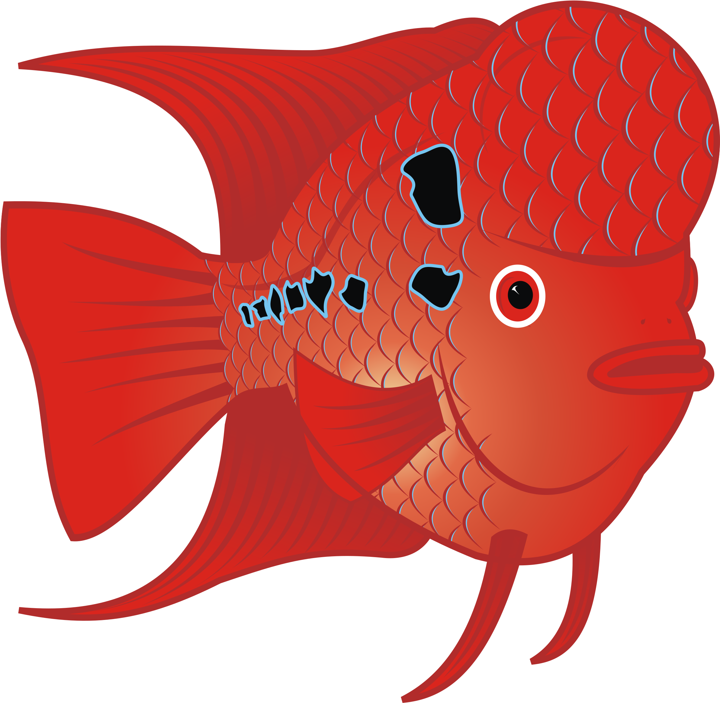 This Free Icons Png Design Of Red Goldfish (2438x2400), Png Download