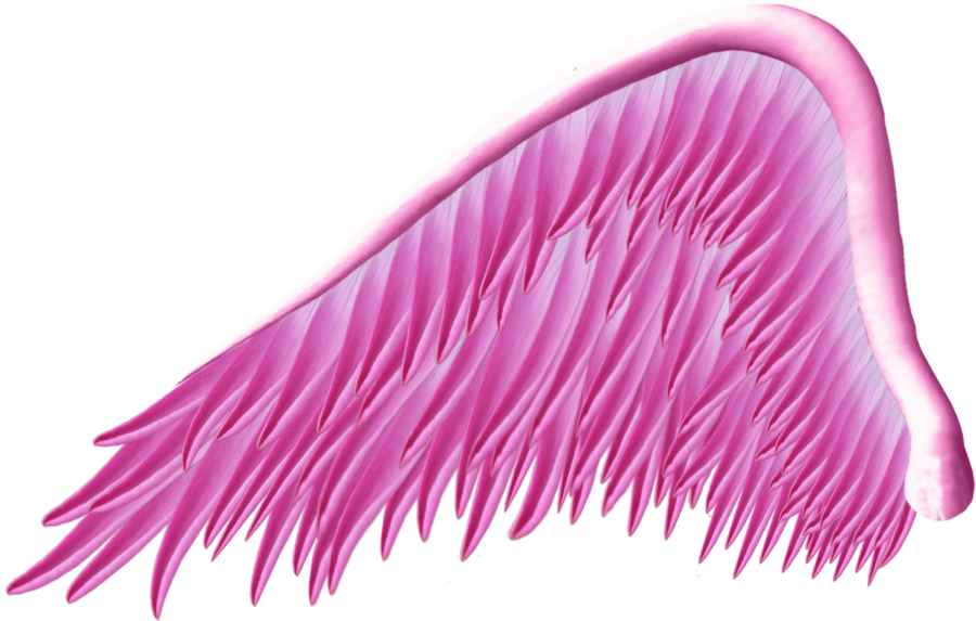 Pink Png High-quality Image - Pink Butterfly Wings Png (900x573), Png Download