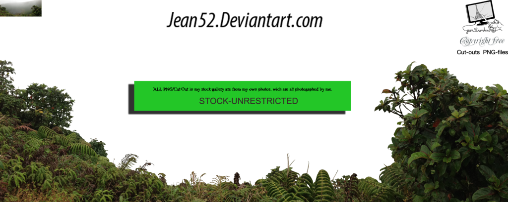 Bushes Png By Jean52 - Bushes Png Deviantart (1024x409), Png Download