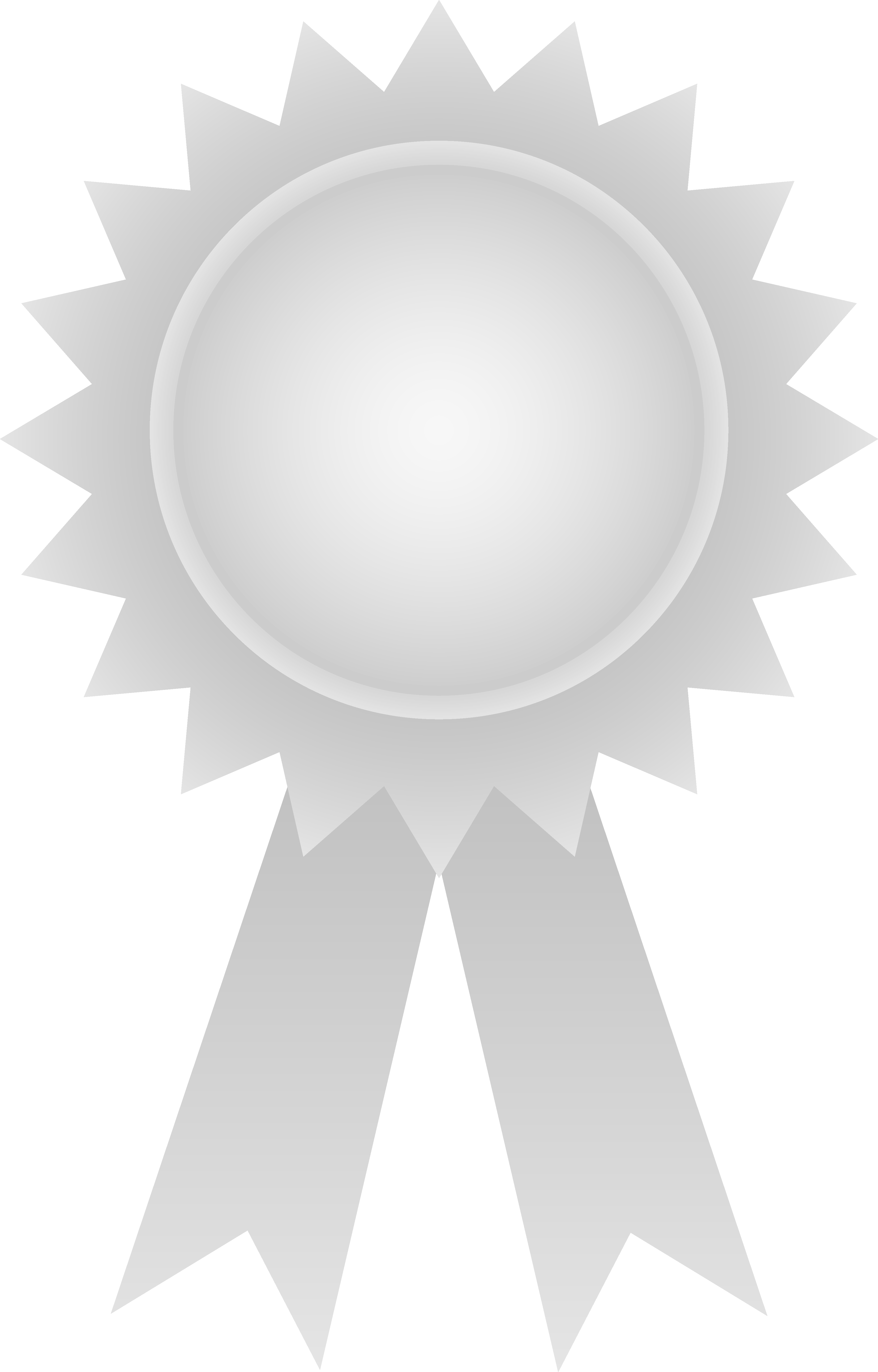 Silver Clipart Black Ribbon - Silver Award Ribbon Clip Art (3717x5809), Png Download