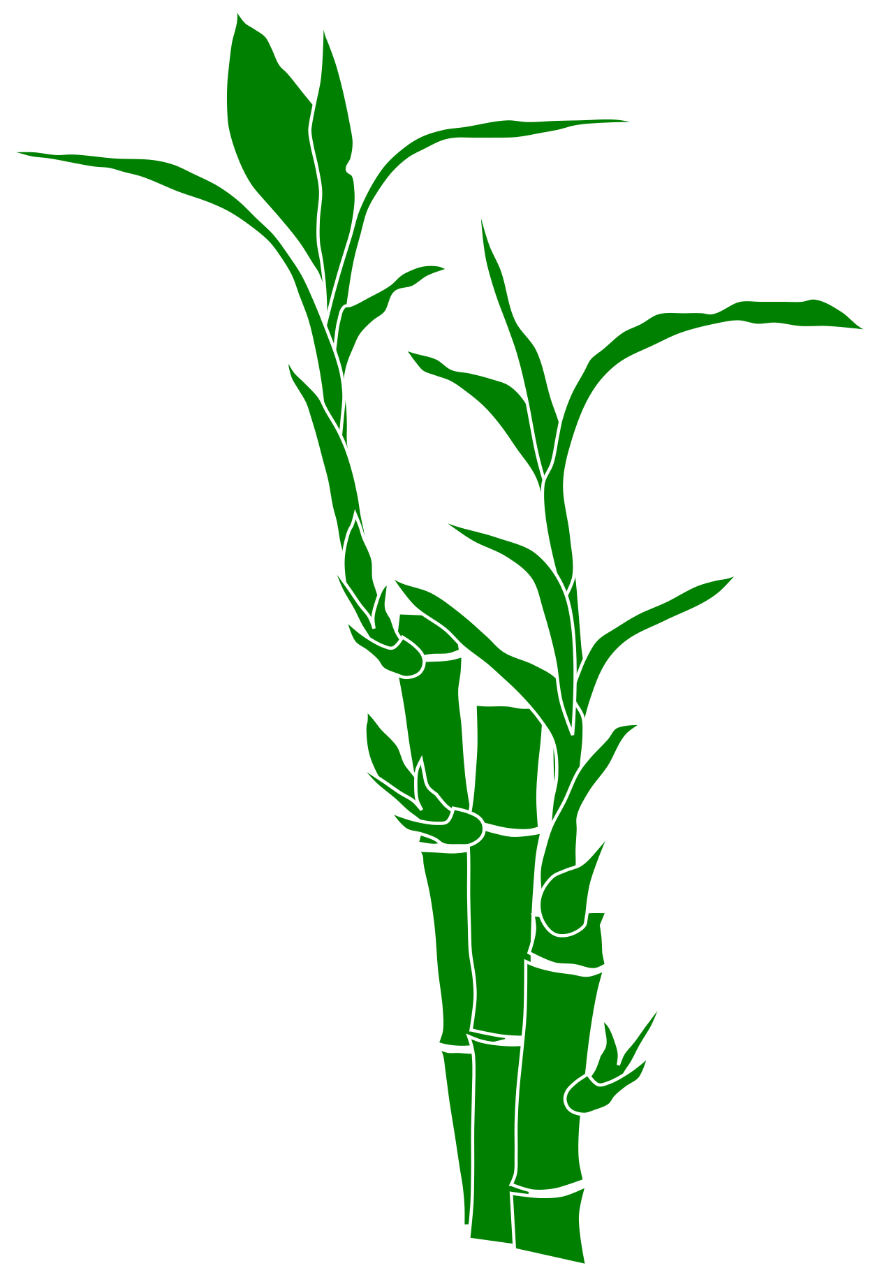 Download And Use Bamboo Png Clipart - Bamboo Clipart Png (1697x2400), Png Download