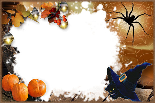Halloween With Black Kitten - Halloween Spider (498x331), Png Download