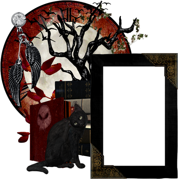 Cadre Fond Transparent Halloween (600x600), Png Download
