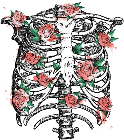 Image About Flowers In - Rib Cage Tumblr Png (500x590), Png Download