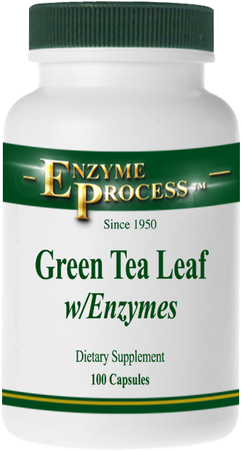 Green Tea Leaf 100 Capsules - Enzyme Process International Alkaplex Green - Superfood (545x699), Png Download